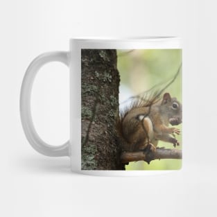 Red Squirrel Mug